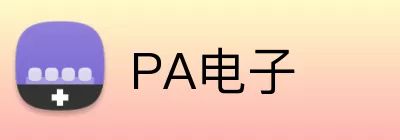 PA电子 logo